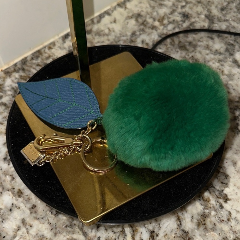 Dolce & Gabbana Green and Blue Key Holder